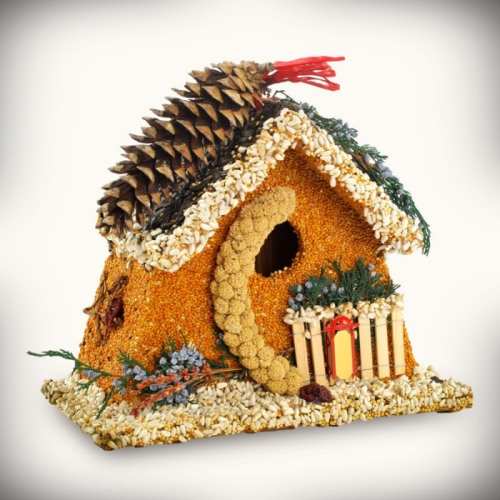 Birdie's Bed and Breakfast Chalet Edible Birdhouse